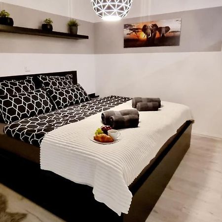 バーデン＝バーデンNew Modern Selfcheckin Publicfreeparking Highspeed Wifi Kingsizebedアパートメント エクステリア 写真