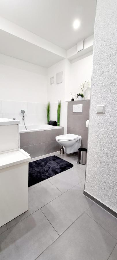 バーデン＝バーデンNew Modern Selfcheckin Publicfreeparking Highspeed Wifi Kingsizebedアパートメント エクステリア 写真