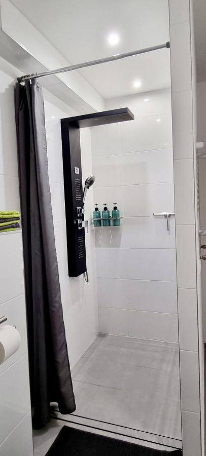 バーデン＝バーデンNew Modern Selfcheckin Publicfreeparking Highspeed Wifi Kingsizebedアパートメント エクステリア 写真